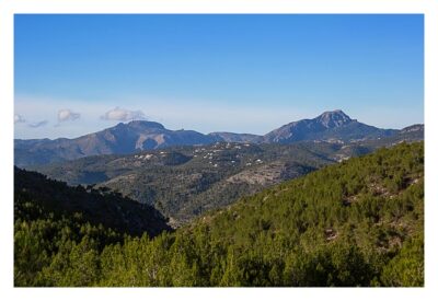 blog-33.jpg