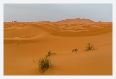 Die Dünen von Erg Chebbi