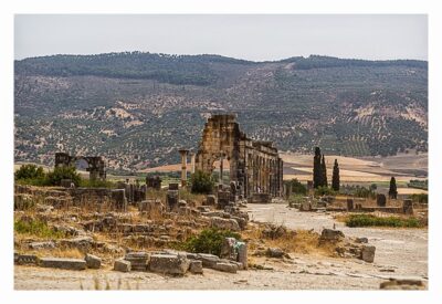 Volubilis - Basilika mit Blick auf die Olivenhaine an den Hängen der umliegenden Hügel