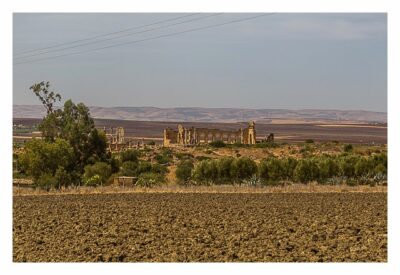 Volubilis - Blick auf die Basilika vom Geocache aus