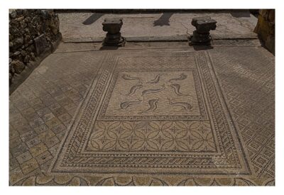 Volubilis - Mosaik auf dem Fußboden einer römischen Villa