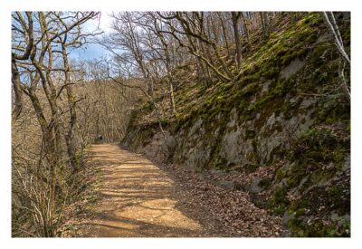 Ältester Geocache Deutschlands - Waldweg zur Burg