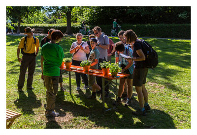 GeoXantike 2015 - Lab Cache zum Erkennen von Kräutern