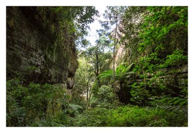 Natur pur im Pirituba Canyon - In der kleinen Schlucht