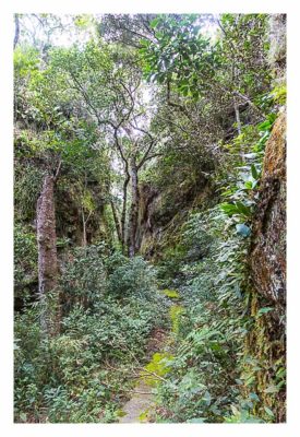 Natur pur im Pirituba Canyon - Der schmale Pfad durch die Schlucht