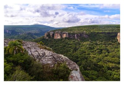 Natur pur im Pirituba Canyon - Mit Palmen