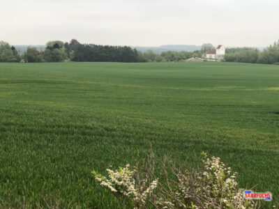 Ausblick vom Rastplatz über eine Wiese