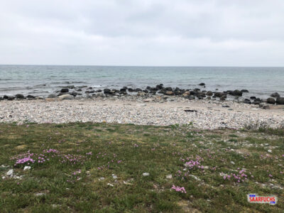 Blick über die Küste zum Meer