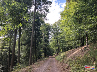 Wanderweg Ewiger Weg in Ramberg