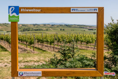 10. Bloggerwandern: Mein Wein- und Wandererlebnis in Rheinhessen
