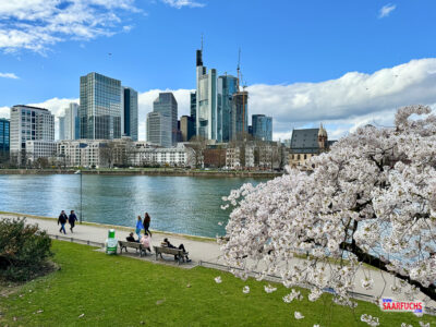 Skyline von Frankfurt