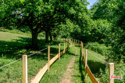 Traumschleife Felsenweg - Mitten durch die Viehweide