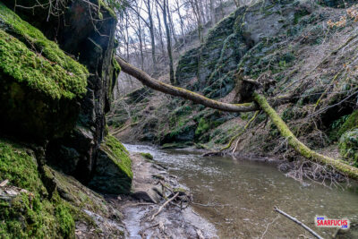 Traumschleife Ehrbachklamm