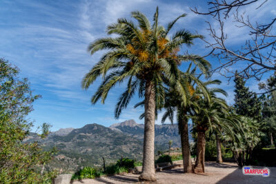 Geocaching & Wandern: der alte Treppenweg von Deià nach Sóller