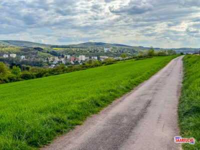 Asphaltierter Wanderweg auf dem Hochplateau des Petrisbergs in Trier