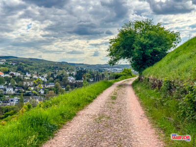 Geschotterter Fahrweg durch die Kulturlandschaft der Trierer Weinberge
