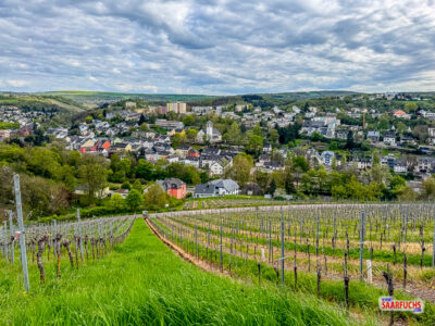 Panorama-Aussicht auf die H&uuml;gellandschaft rund um die Stadt Trier