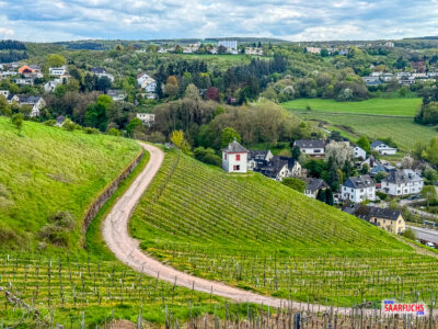 Ein kleines, charmantes Weinbergh&auml;uschen am Hang des Petrisbergs