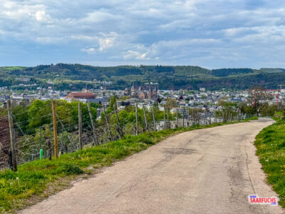 Blick vom Petrisberg auf die historische Altstadt von Trier