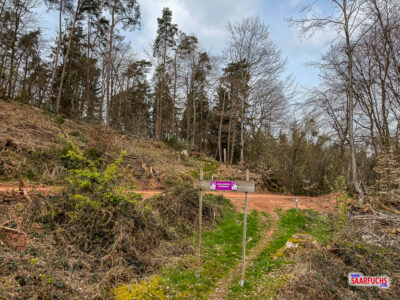 Ein h&ouml;lzernes Wanderportal am &Uuml;bergang von einem Forstweg zu einem schmalen Waldpfad