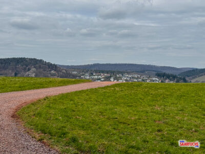 Blick von einer Anh&ouml;he &uuml;ber eine gr&uuml;ne Wiese in ein bewaldetes Tal