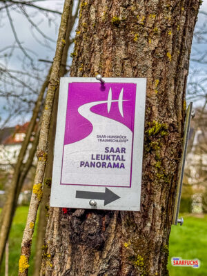 Wandermarkierung an einem Baumstamm in Augenh&ouml;he