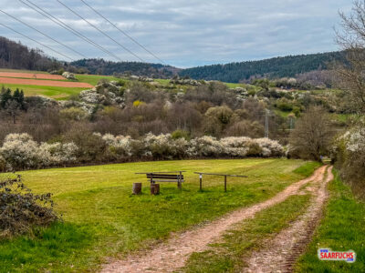 Schmaler Wiesenpfad, der steil an einer h&ouml;lzernen Picknickbank vorbei den Grashang hinauf f&uuml;hrt