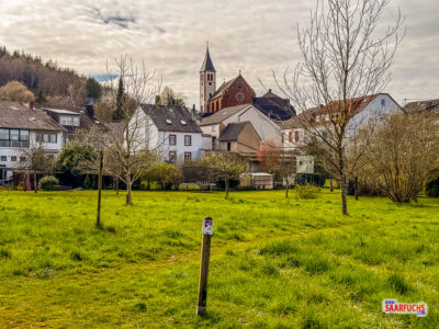 Blick &uuml;ber eine Wiese auf die H&auml;user von Trassem und die Kirchturmspitze von St. Erasmus