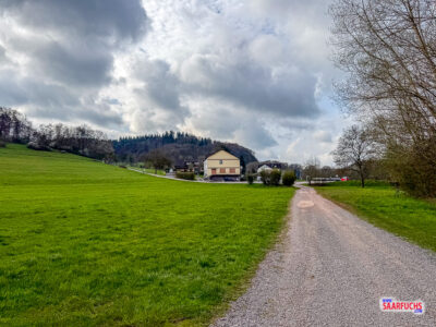 Blick auf einen geschotterten Waldweg, der an einer T-Kreuzung nach links in eine asphaltierte Zufahrt m&uuml;ndet