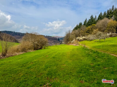 R&uuml;ckblick auf den gewundenen Talweg zwischen bewaldeten H&auml;ngen unter bew&ouml;lktem Himmel