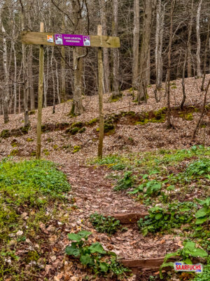 Markiertes h&ouml;lzernes Wanderportal am Eingang zu einem schmalen, ansteigenden Waldpfad