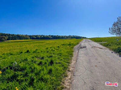 Landwirtschaftlicher Weg zwischen gr&uuml;nen Wiesen auf dem Weg zum Geoache.