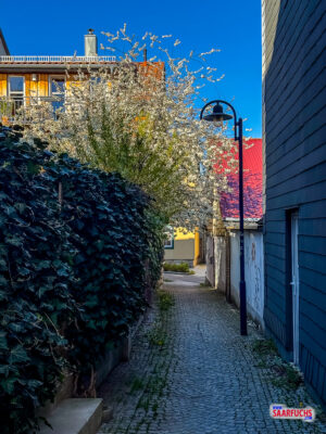 Eine schmale, kopfsteingepflasterte Gasse in der Altstadt von Ilmenau
