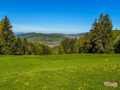 Weite gr&uuml;ne Wiese am Kn&uuml;llfeld mit Blick auf die bewaldeten Berge des Th&uuml;ringer Waldes unter blauem Himmel