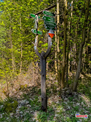 Ein traditioneller h&ouml;lzerner Wanderwegweiser an einer Kreuzung mit Richtungsangaben zu regionalen Zielen
