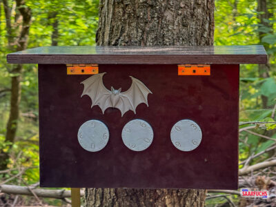Detailaufnahme einer Holzkiste mit mehreren mechanischen Drehkr&auml;nzen f&uuml;r ein Geocaching-R&auml;tsel