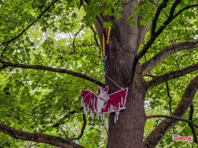 R&auml;tselpetlinge im Baum