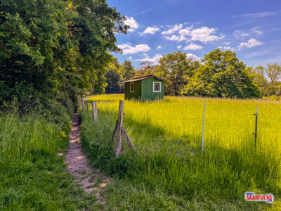 Stelle auf dem Rundweg, wo ich so meine Probleme hatte mit Blick auf Weide mit Holzhaus im Wald bei Lang-G&ouml;ns