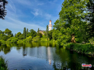 Der von alten Bäumen gesäumte Schlossparksee mit Enten auf der ruhigen Wasseroberfläche