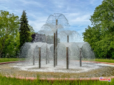 Wasserfontäne des aktivierten Springbrunnens im historischen Kurpark Bad Homburg bei Tageslicht