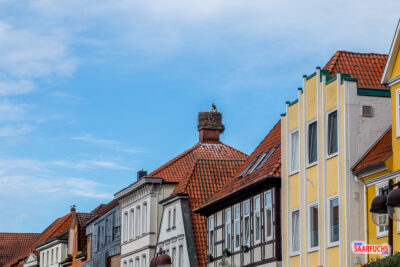 Blick nach oben auf ein großes Storchennest auf einem Dachfirst in der Nienburger Innenstadt