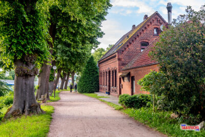 Radweg an der Weser in Nienburg