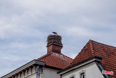 Schornstein des van Haarenschen Hauses in der Langen Straße mit dem Storchennest