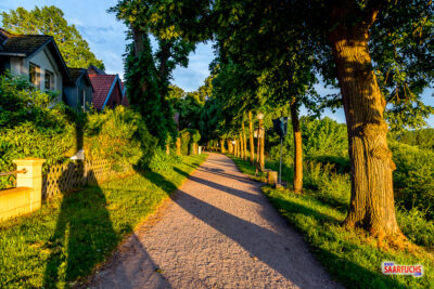 Der Uferradweg direkt an der Weser im weichen Licht der Dämmerung