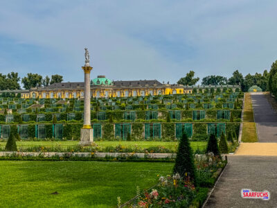 Seitlicher Blick auf die gestuften Weinbergterrassen von Schloss Sanssouci