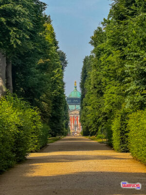 Blick durch die Baumallee im Park Sanssouci auf das im Hintergrund sichtbare Neue Palais
