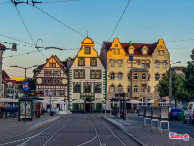 Blick entlang des Domplatzes mit historischen Fassaden und Schienen der Straßenbahn