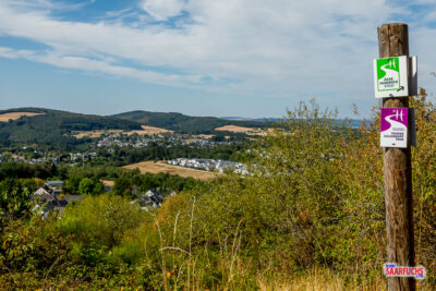 Panoramaaussicht über die Weinberge und das Tal am Saar-Hunsrück-Steig bei Kasel