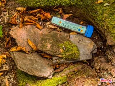 Geocache-Versteck an eineBaum entlang des Saar-Hunsrück-Steigs