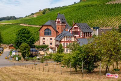 Historisches Gebäude-Ensemble des Staatsweinguts Avelsbach in den Weinbergen